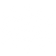 Vision
