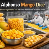 Alphonso Mango Dice