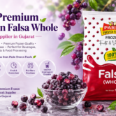 ChatGPT Image Aug 29, 2026, 05_32_32 PM Frozen Falsa Whole